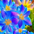 Flower Blues