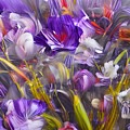 Purple Flowers